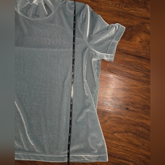 Madewell Small Seafoam Green Velvet Turtleneck Short Sleeve Top - Picture 7 of 12